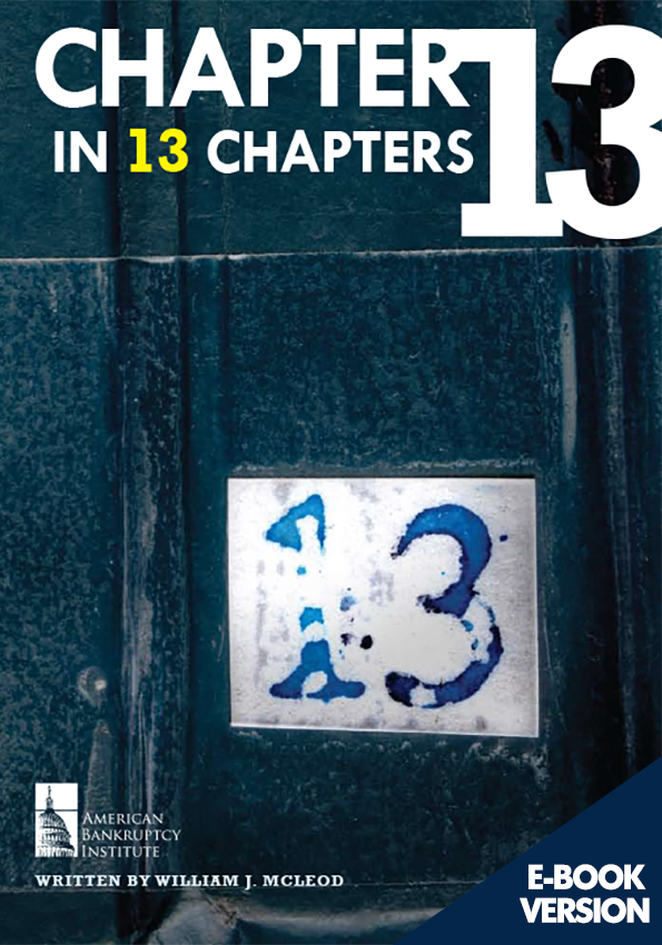 Chapter 13 in 13 Chapters