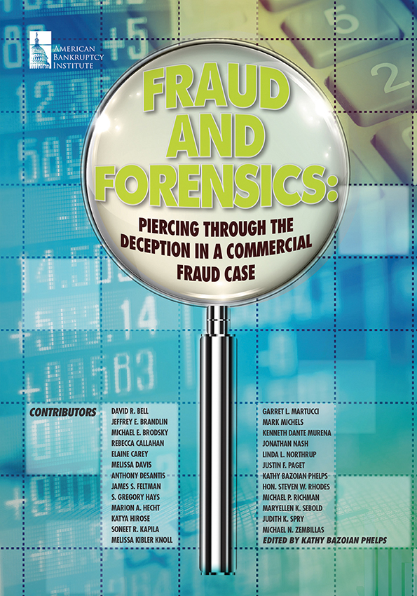Fraud and Forensics: Piercing Through the Deception in a Commercial Fraud Case