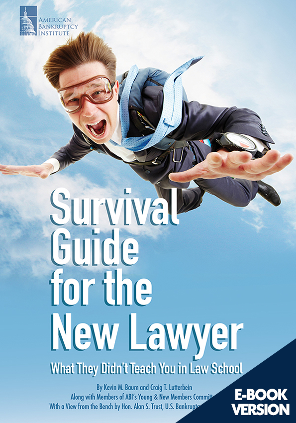 Survival Guide for the New Lawyer: What They Didn't Teach You in Law School